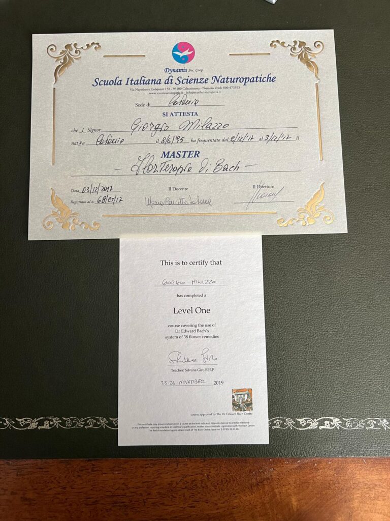 WhatsApp Image 2025-03-28 at 17.47.14 (1)